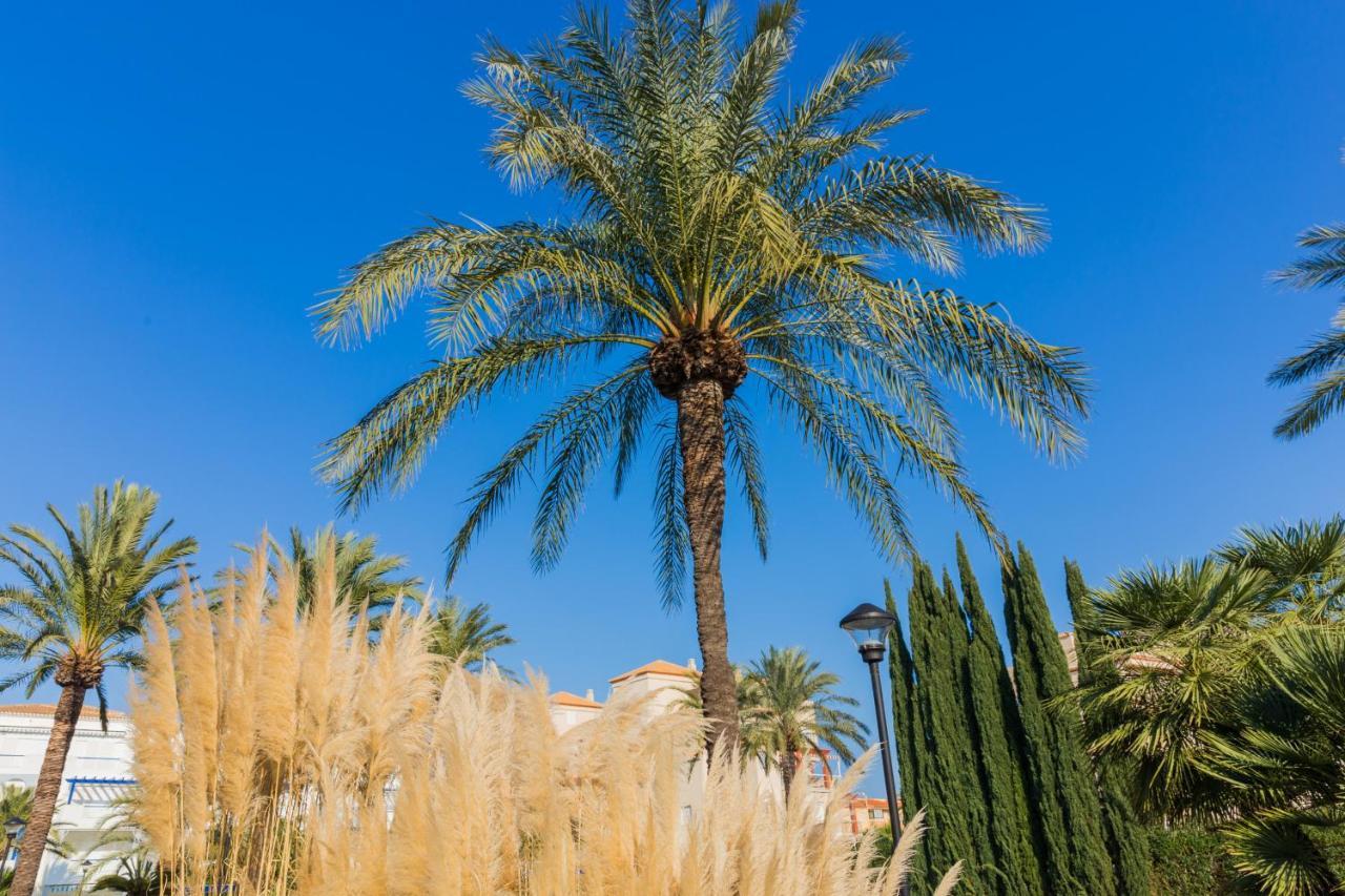 Căn hộ Cala Blanca Beach Studio Denia
